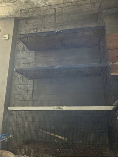 Folding cage 8 portion 2/1.5