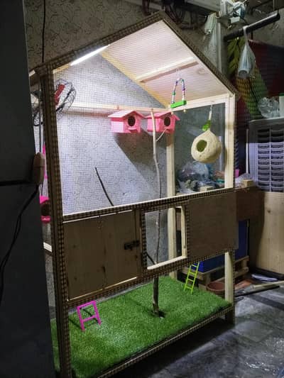 birds cage