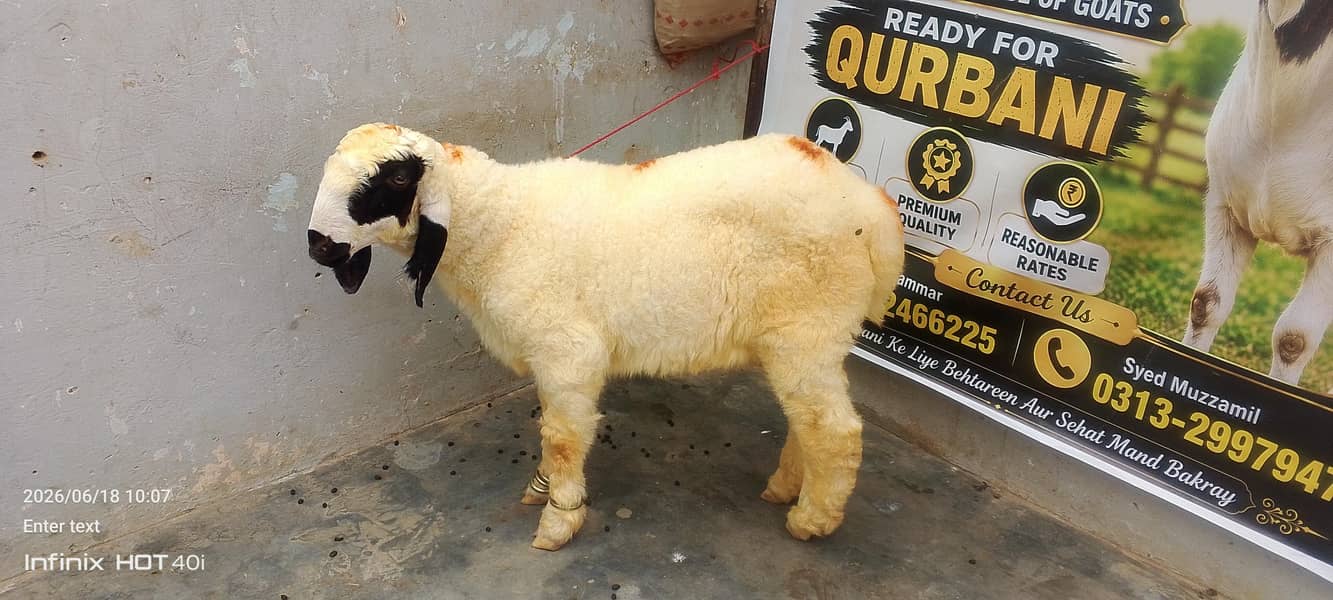 Mundra Dhumba 1