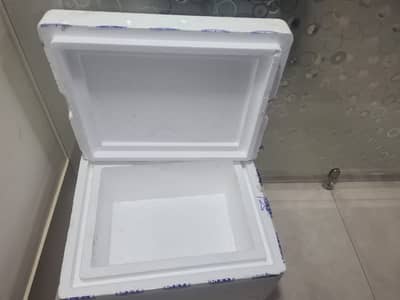 Double layer Larg 2x1.5 feet reuseable strong Thermocool Packaging Box