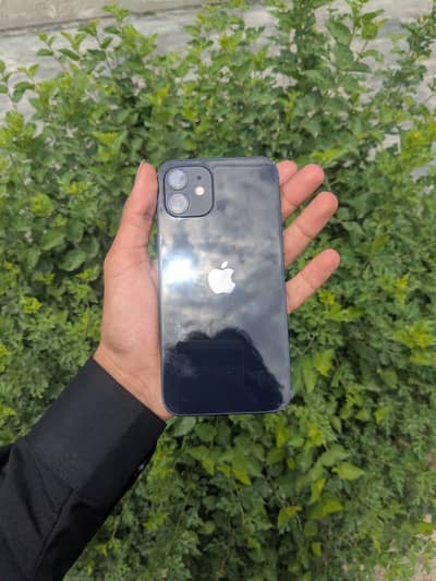 Apple iPhone 12