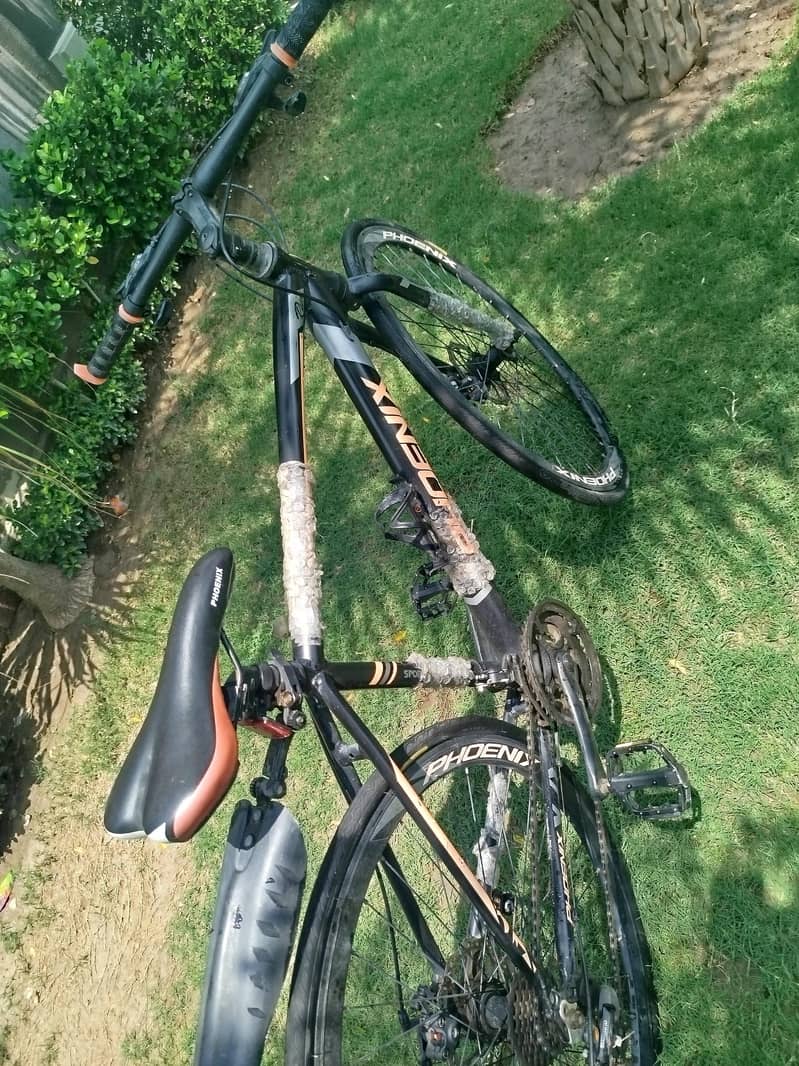 bicycle 0