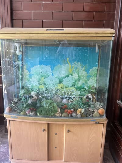 Fish Aquarium
