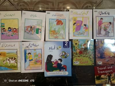 Beaconhouse . . . . grade 2 books