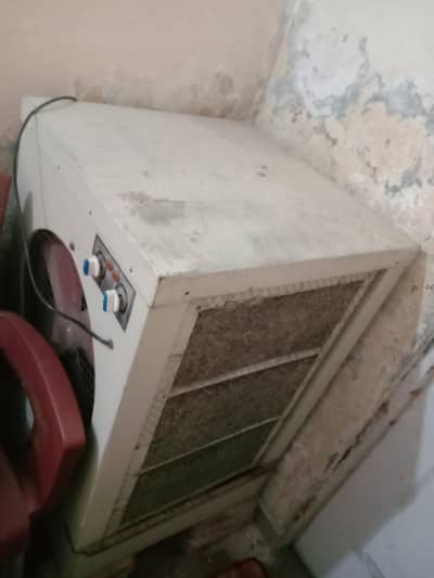 cooler fan