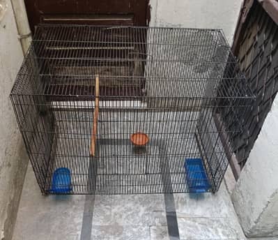 Raw parrots cage