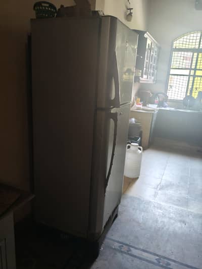 full size fridge Pel