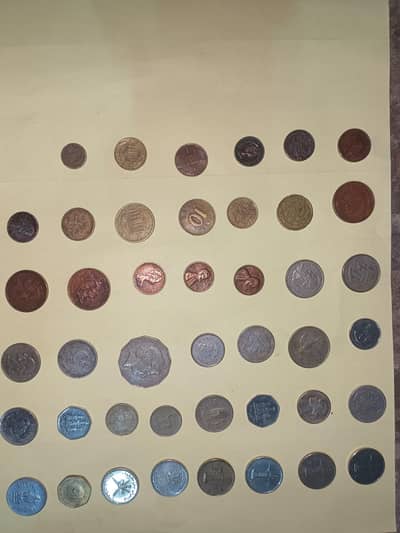 rear coin and note