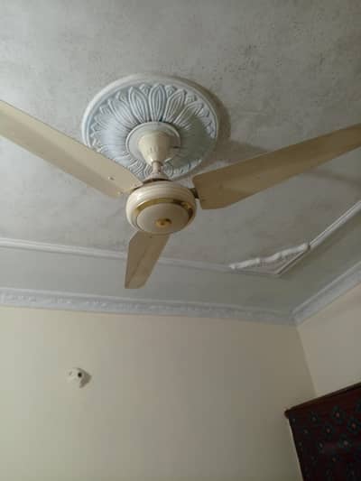 Brand: Unknown / Pak Fan (agar exact brand nahi pata)