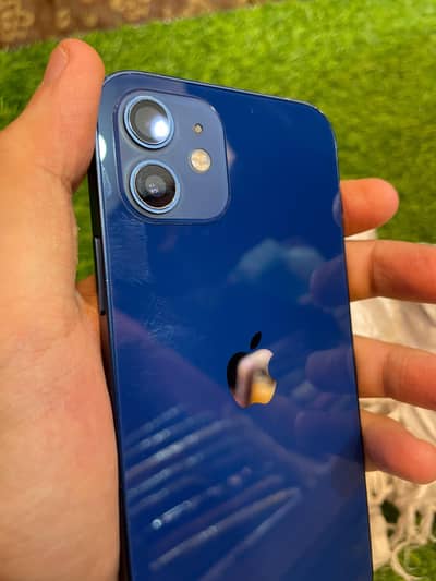 Apple iPhone 12
