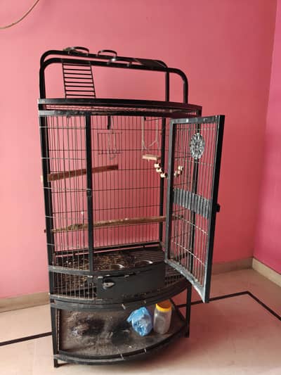 big size parrot cage