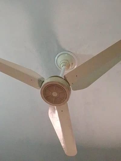 Pak fan