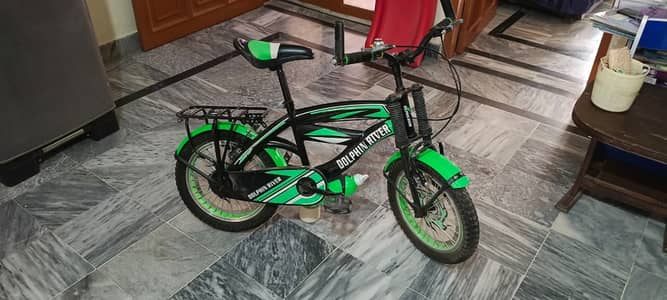 Girls Bicycle