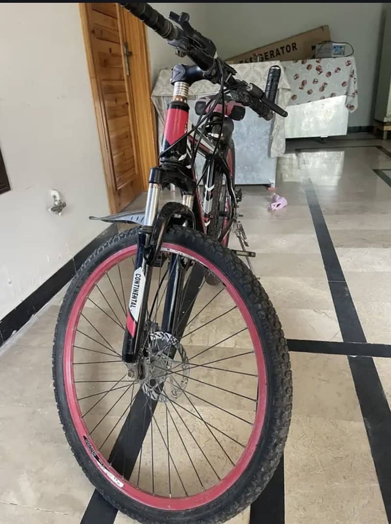 Bicycle 1