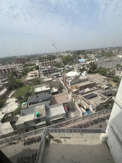 Bolna wala parrot  ha nasli ha