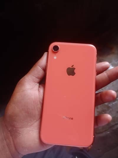 iphone XR urgent sale my WhatsApp 03296838239