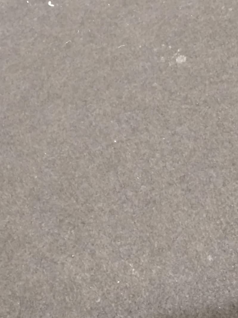 carpet 1
