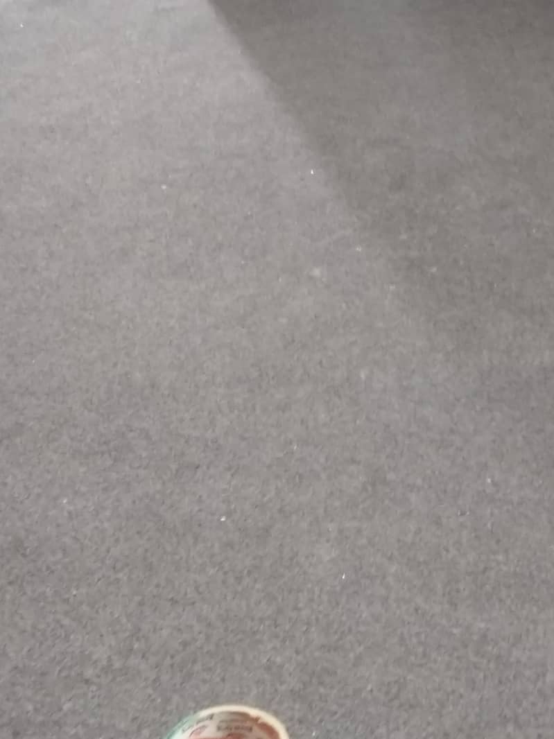 carpet 2