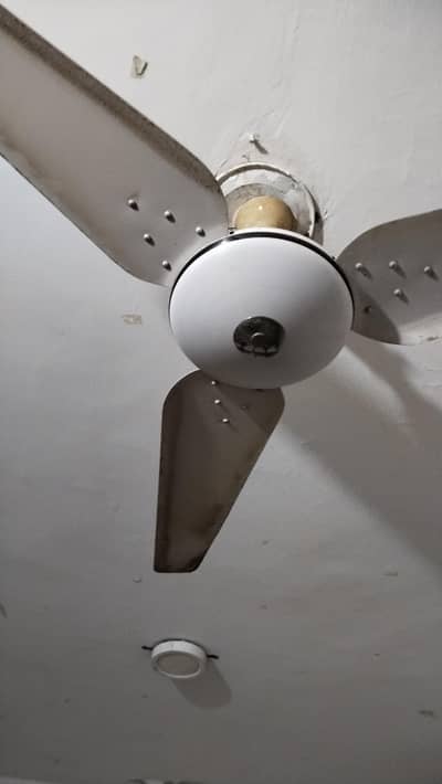 Ceiling fan for Sale Copper viring