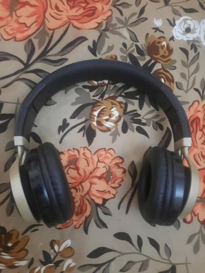 p o ral  delay head phones