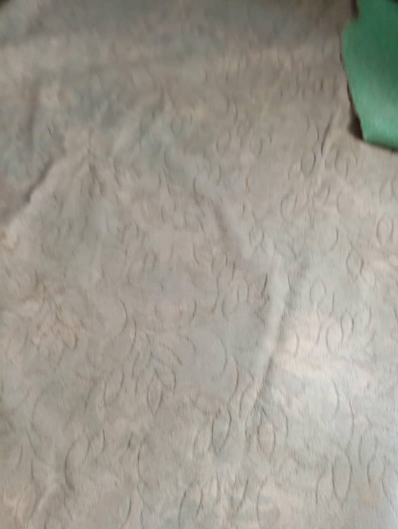 carpet 0