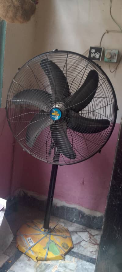 pedestal fan