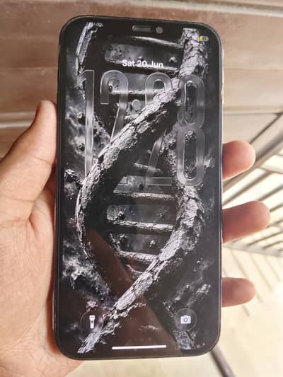 IPhone 12 [Factory Unlocked] 10/10
