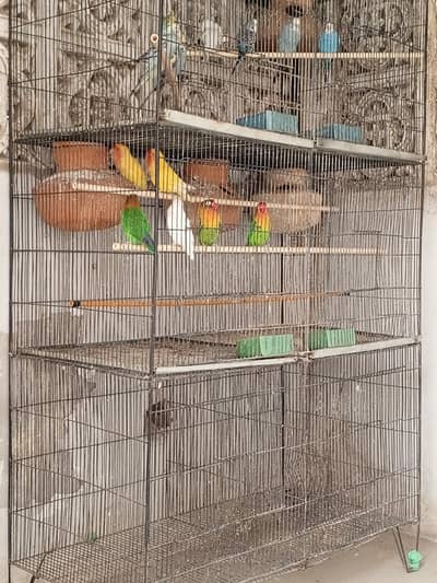 parrot setup for sell