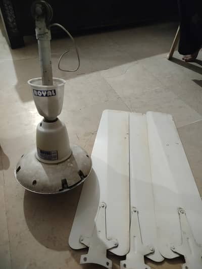 ceiling fan a 1  condition