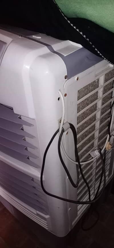 CRESCENT AC DC Cooler