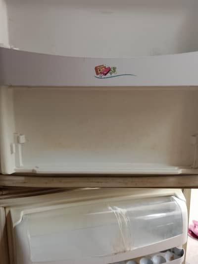 pel refrigerator