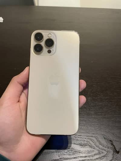 Apple iPhone 13 Pro Max