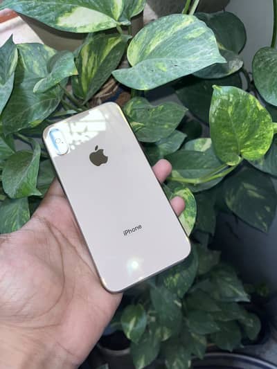 Apple iPhone XS