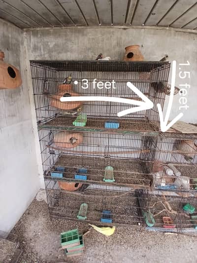 master folding cages