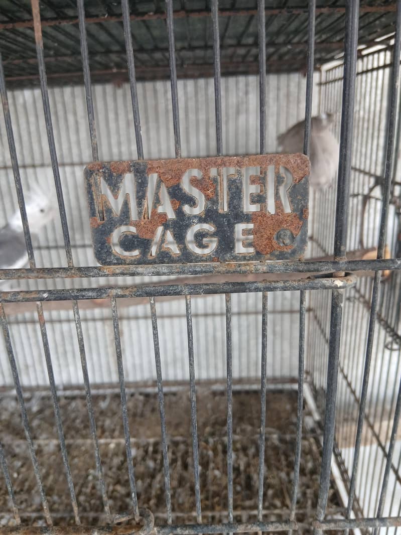 master folding cages 6