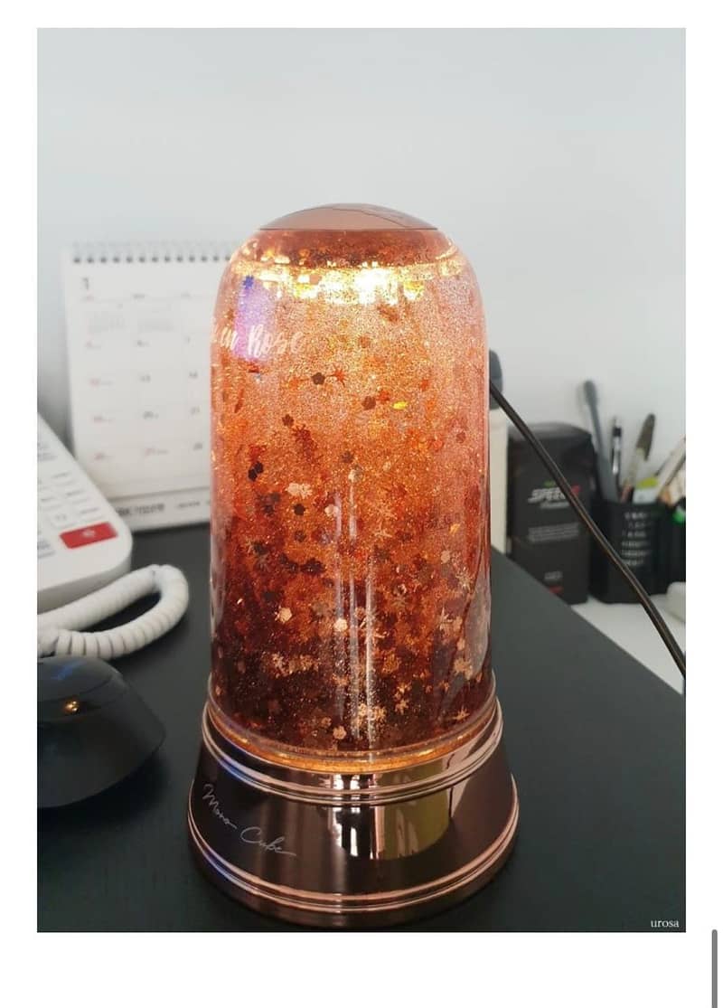 Humidifier Imported 12
