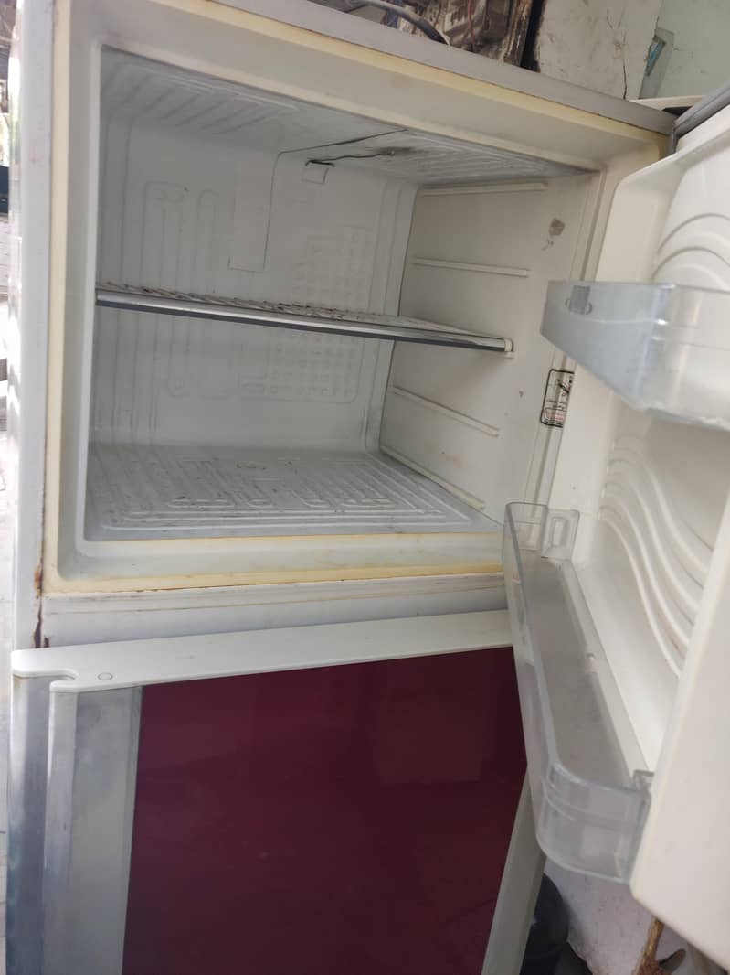 freezer 4