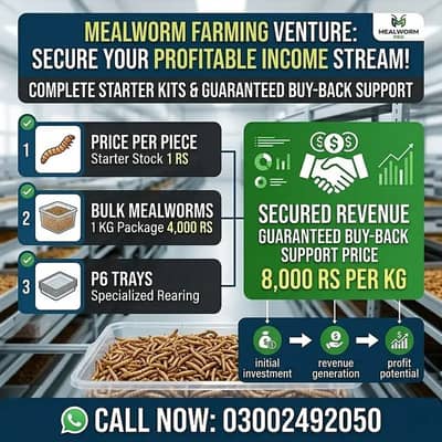 Mealworms for Birds, Fish and Poultry | mealworm | mealworms for sale