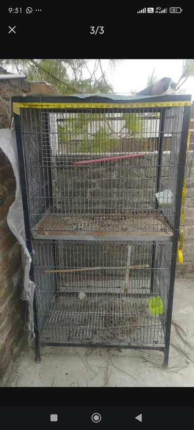 steel cage