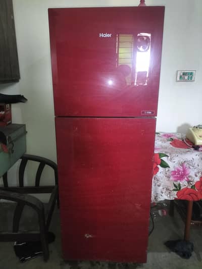 Haier  Glass Door | Medium Size Excellent Cooling