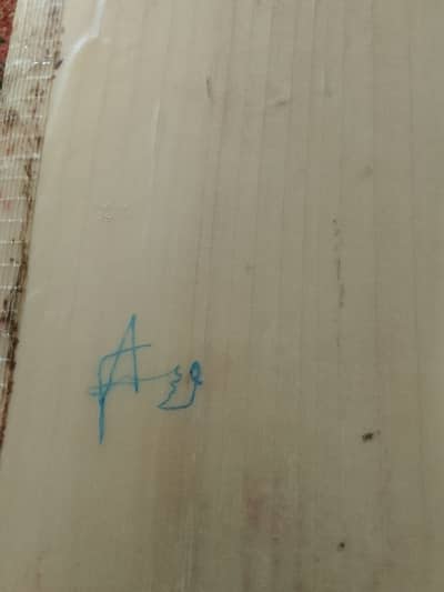 Fakher zaman signed bat