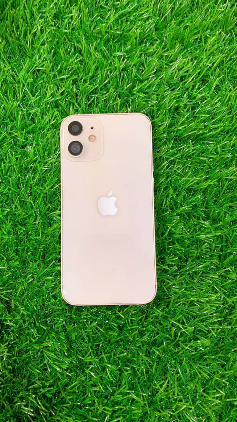 Apple iPhone 12 mini 0