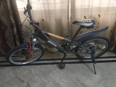stich imported cycle