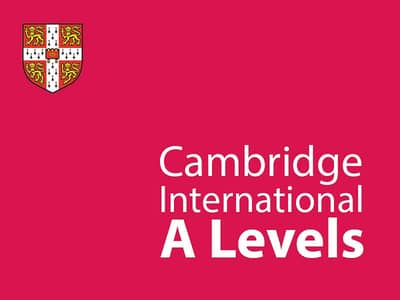 Online  A level Law , Accounting and Business Private Coaching