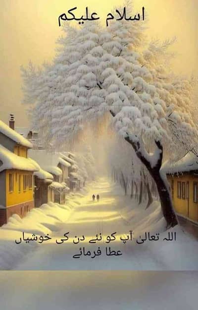 Warid