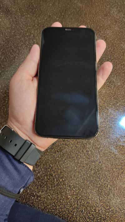 Apple iPhone 12 Pro Max
