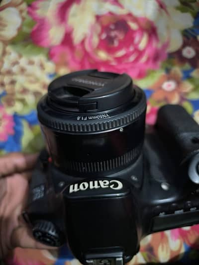 ( DSLR )   Canon 60D  