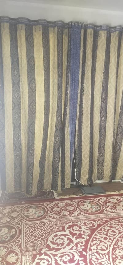 curtains