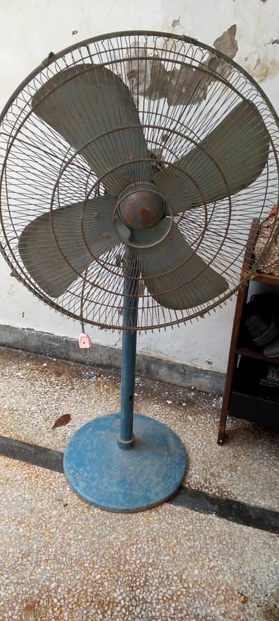 Padastel Fan