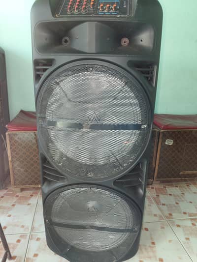 Audience speaker